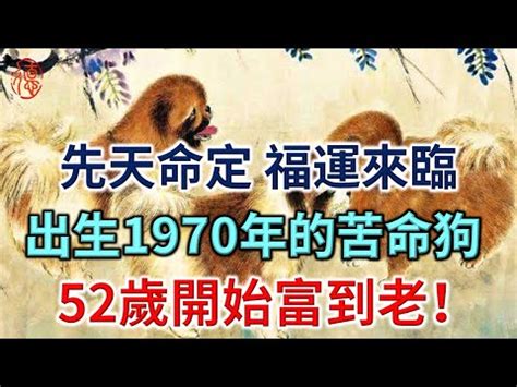 1970年屬狗|1970年是什麼生肖？70年生人命運如何？五行屬釵釧。